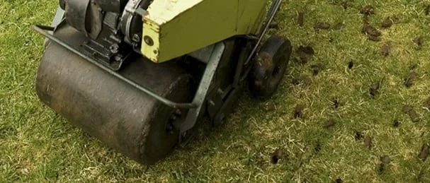 Aeration machine on a lawn, drilling small holes in the soil to improve lawn health