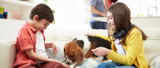 children playing with a dog on the furniture in their house and their parents in the background