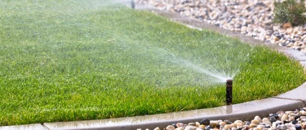 Automatic irrigation system watering green grass in a garden with decorative stones border