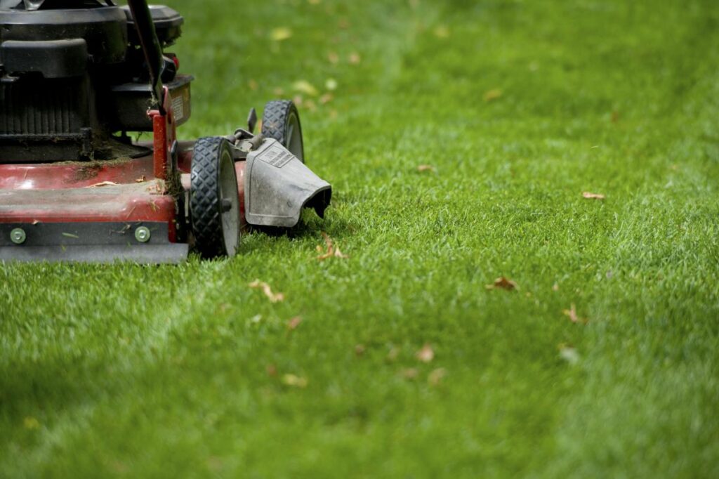 lawnmower in action, cutting a green, manicured lawn