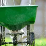 Your Go-To Lawn Fertilizer Schedule for Florida Grass