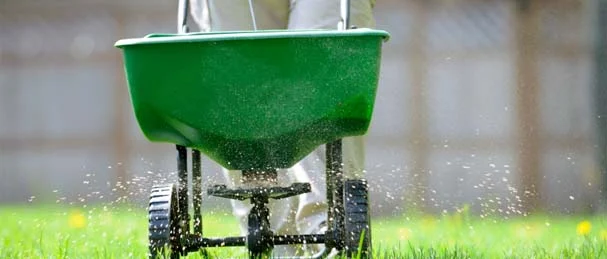 A green fertilizer spreader in motion on a lawn, distributing material over the grass to improve its health