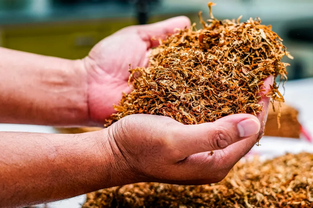 What Is Mulch Doing for Your Yard?