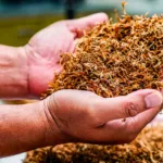 What Is Mulch Doing for Your Yard?