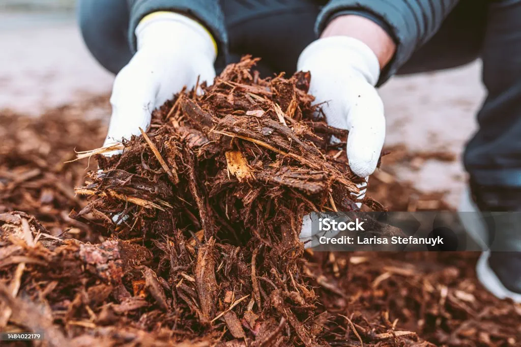 What Is Mulch Doing for Your Yard?