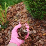 What to Know About Mulching Leaves on Your Florida Lawn?